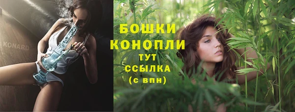 индика Ельня