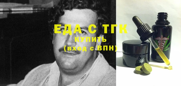 индика Ельня
