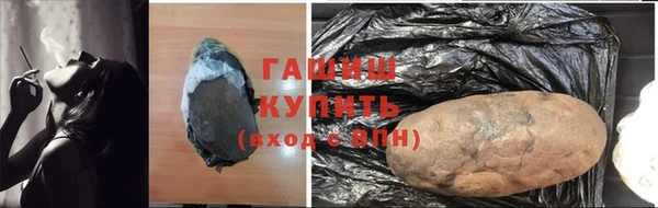 индика Ельня