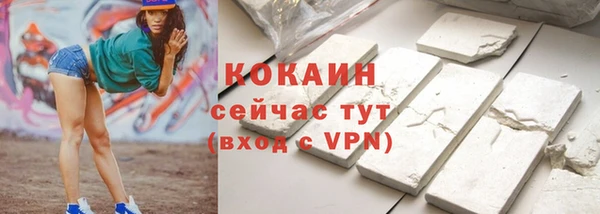 индика Ельня