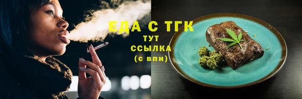 индика Ельня