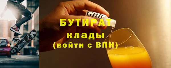 индика Ельня