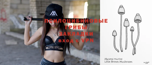 mdpv Елабуга