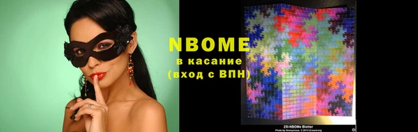 индика Ельня