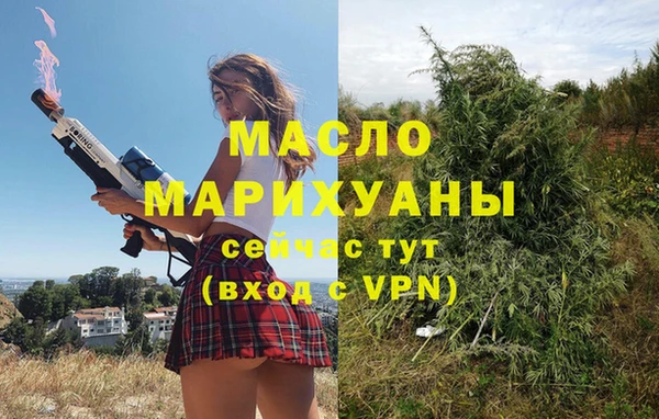 индика Ельня