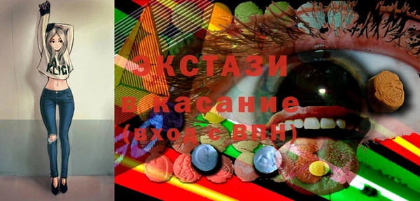 индика Ельня