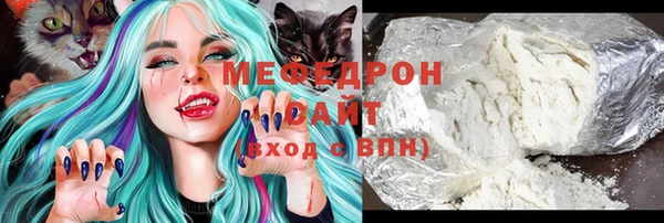индика Ельня