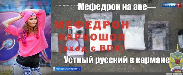 индика Ельня