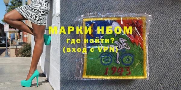 индика Ельня