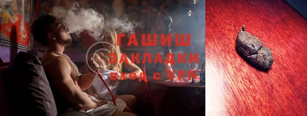 индика Ельня