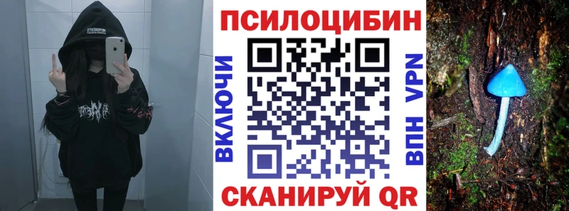 Галлюциногенные грибы Psilocybe  Купить закладки  Добрянка 