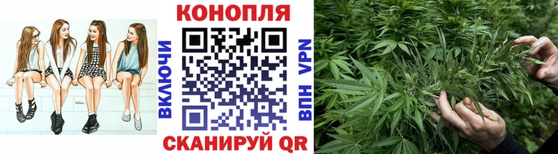 Купить  Добрянка  Каннабис планчик 
